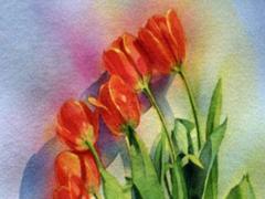 好聽(tīng)的外號(hào)名字