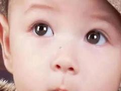 生肖虎取名適合用字