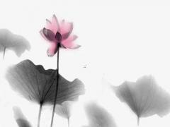 好聽的女孩名字有內涵