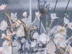 十二星座收到過什么奇怪的禮物