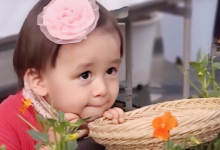 眉毛濃的男人代表什么 眉毛濃的男人重感情嗎