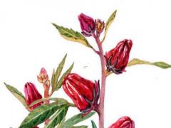 好聽霸氣的男孩名字