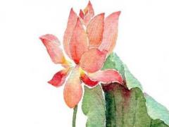 好聽的蘇姓男孩名字