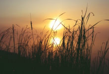 巨蟹雙魚是不是不適合做情侶 巨蟹雙魚的愛情故事