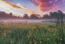 男生女相必富貴為什么 男生女相不是帝王就是宰相