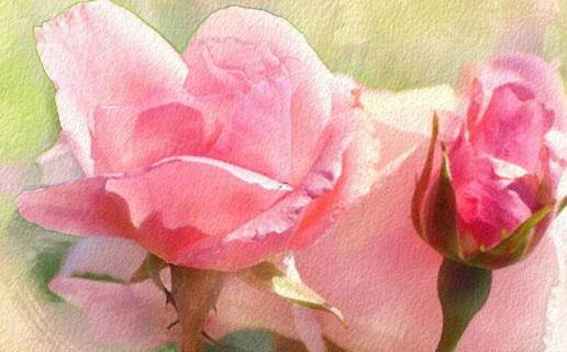 220-.女孩名字李什么冰 220-.女孩名字李什么冰