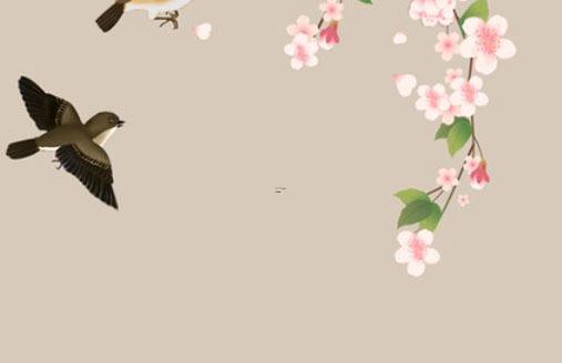 10140-.母女本命年寫真兔 10140-.母女本命年寫真兔