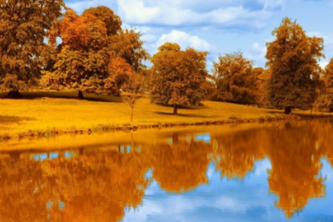 夢見老鼠是什么征兆 夢見老鼠爬到自己床上