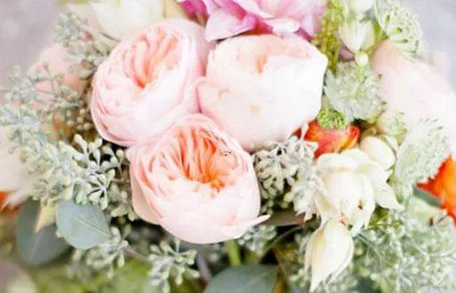 9965-.12星座代表飲品 9965-.12星座代表飲品