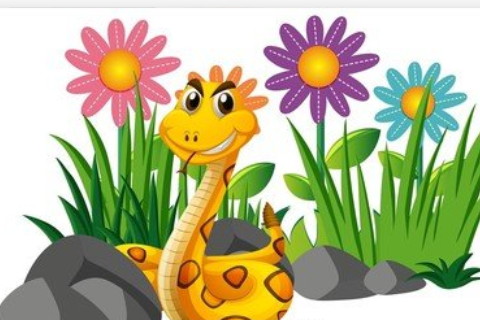 七七年屬什么生肖?七七年屬什么生肖2023年運勢怎樣