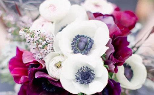 9927-.天蝎座這個星座好不好 9927-.天蝎座這個星座好不好