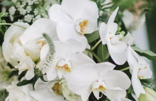 11849-.誰進了十二星座男 11849-.誰進了十二星座男