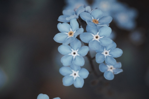 夢到鞋子壞了是什么意思啊 夢到鞋子脫膠開口了