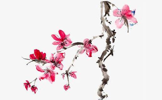 3017-.女孩 自立堅強的名字 3017-.女孩 自立堅強的名字