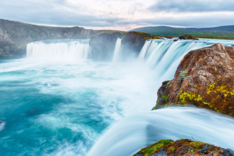 屬蛇和屬豬相克是真的嗎 屬蛇和屬豬合伙做生意咋樣