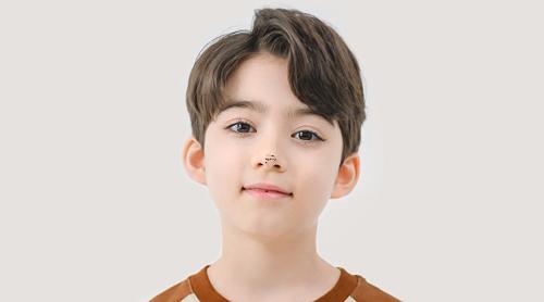 17913-.夢見豬向自己跑過來是什么意思