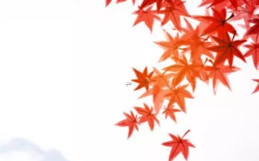 82年屬狗什么時候翻身 將迎來哪些方面的起色 82年屬狗什么時候翻身 將迎來哪些方面的起色