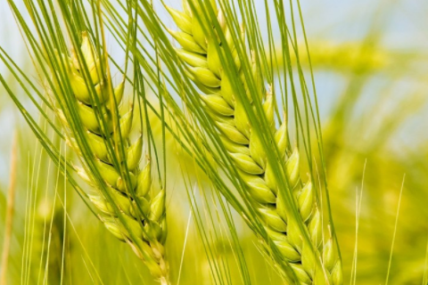 男豬女龍的結(jié)婚下場 男豬女龍適合做夫妻嗎