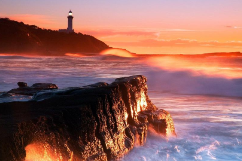 男猴和女虎相配婚姻如何 男猴和女虎適合做夫妻嗎