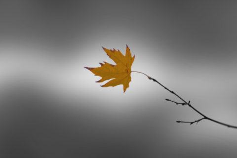 壁上土命和什么命相克 壁上土命是什么意思