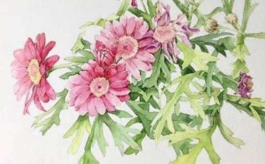 250-.生辰八字免費起名100分 250-.生辰八字免費起名100分