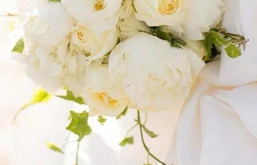 12124-.12星座粗魯 12124-.12星座粗魯