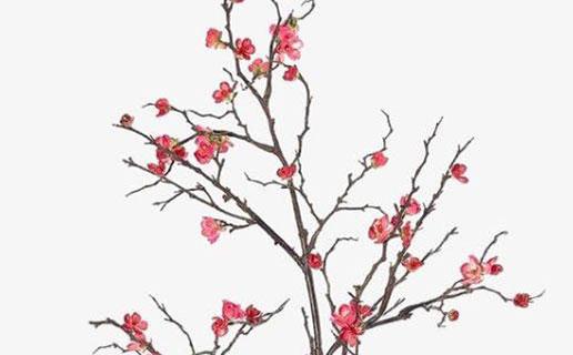 2958-.女孩詩句名字大全唯美意境 2958-.女孩詩句名字大全唯美意境