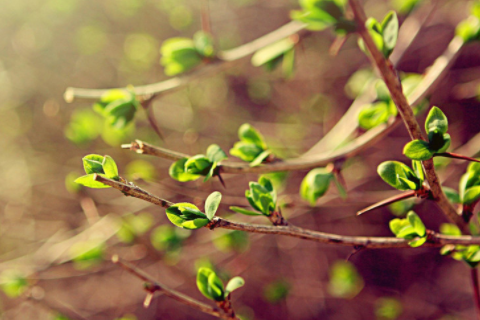 男豬女龍的結(jié)婚下場 男豬女龍適合做夫妻嗎