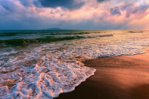 屬馬和屬兔的相克是真的嗎 屬馬和屬兔的人在一起相配嗎