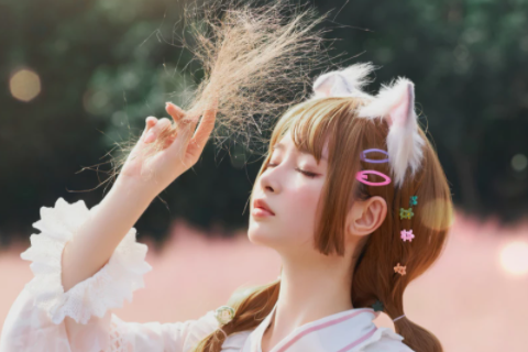 屬豬和屬豬在一起財運怎樣 屬豬和屬豬千萬不能在一起