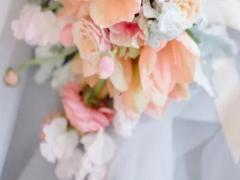 獅子座會被什么 星座的