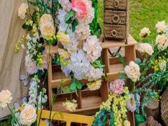 男雙子座一區(qū)和女水瓶座一區(qū)配對(duì)