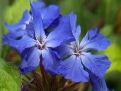 夢(mèng)到救小孩周公解夢(mèng)