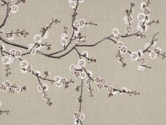 2023生肖鼠何時轉運