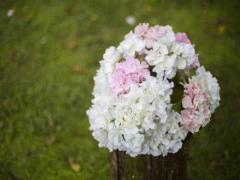 從不記仇,一般有仇當場就報的星座