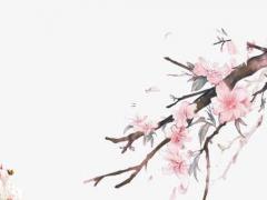 虎年曹姓女孩取什么名字好