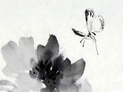 張姓好聽的名字