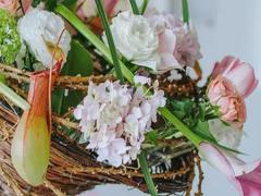 6月25日生日書,6月25日是什么星座:巨蟹座