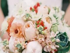 男摩羯座三區和女獅子處女座配對