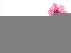 生肖鼠1月底 有“躲不過”的喜!