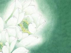 夢幻西游最好聽的名字