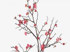 女孩詩句名字大全唯美意境