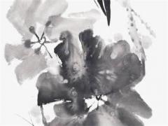 2023年屬虎寶寶運氣