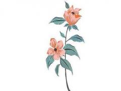 給出生的小女孩起個屬豬的名字