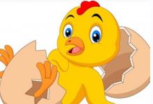 1981年多大了今年2023 1981年多大了,屬什么的