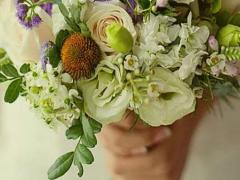 人小鬼大說(shuō)的就是這些星座