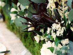 性格多變的星座排名男