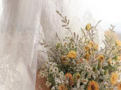 星座有什么樣的