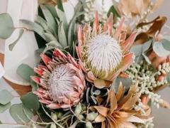 論懶惰 這些星座是最佳代言人