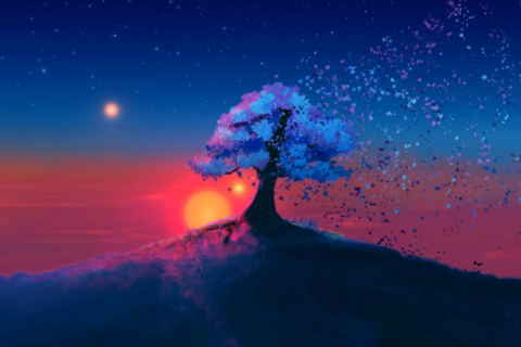 顏值最高的星座 顏值高的星座女排名